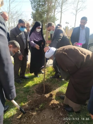 درختکاری در فضای سبز پردیس شهید چمران 8