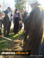 درختکاری در فضای سبز پردیس شهید چمران 9