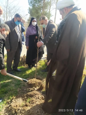 درختکاری در فضای سبز پردیس شهید چمران 9