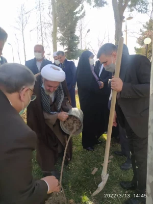 درختکاری در فضای سبز پردیس شهید چمران 10