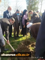 درختکاری در فضای سبز پردیس شهید چمران 11