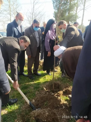 درختکاری در فضای سبز پردیس شهید چمران 11