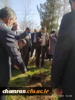 درختکاری در فضای سبز پردیس شهید چمران 12