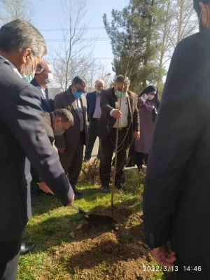 درختکاری در فضای سبز پردیس شهید چمران 12