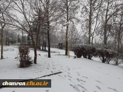 چشم انداز زمستانی پردیس شهید چمران 3