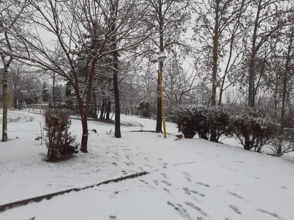 چشم انداز زمستانی پردیس شهید چمران 3