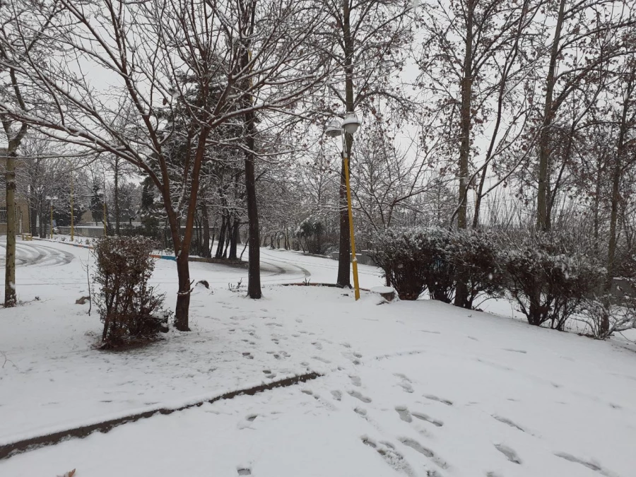 چشم انداز زمستانی پردیس شهید چمران 3