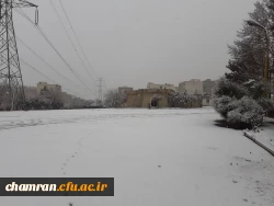 چشم انداز زمستانی پردیس شهید چمران 4