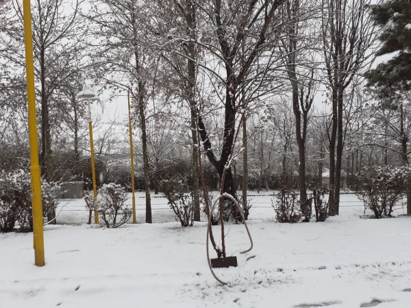 چشم انداز زمستانی پردیس شهید چمران 5