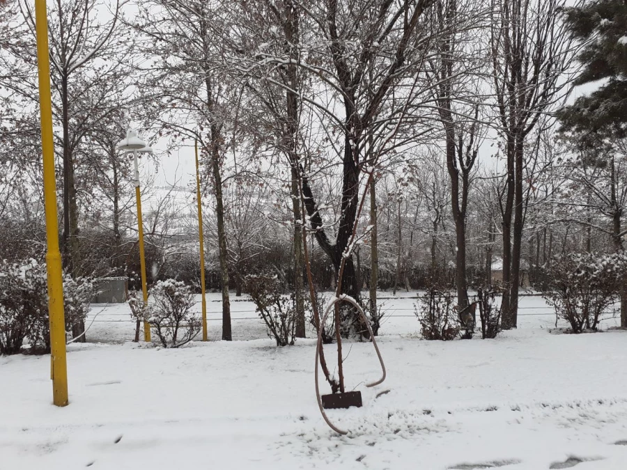 چشم انداز زمستانی پردیس شهید چمران 5