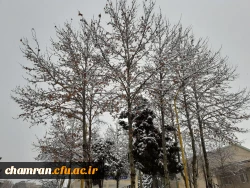 چشم انداز زمستانی پردیس شهید چمران 6