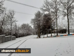 چشم انداز زمستانی پردیس شهید چمران 7