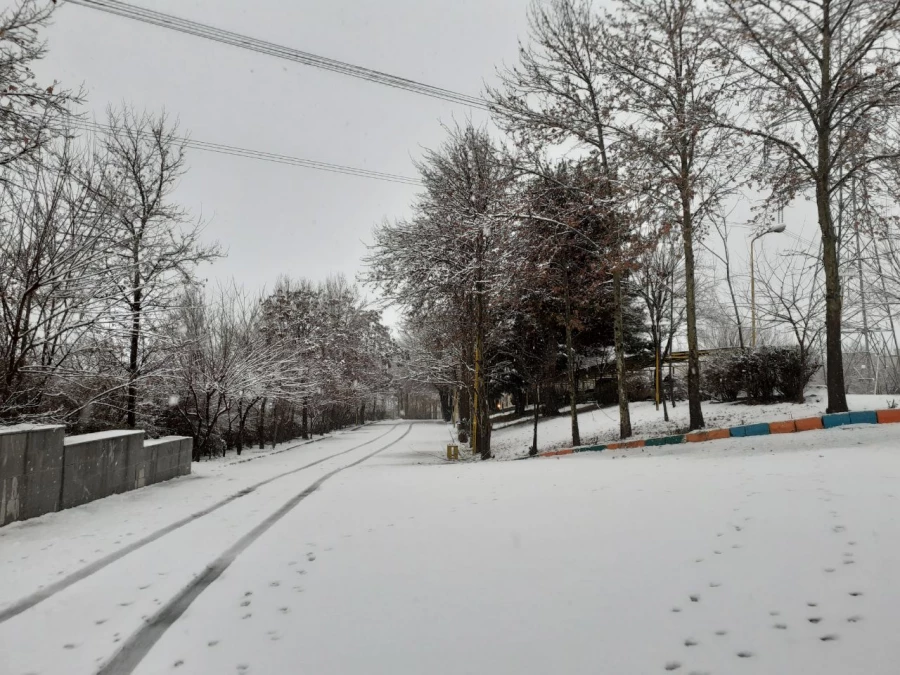 چشم انداز زمستانی پردیس شهید چمران 7