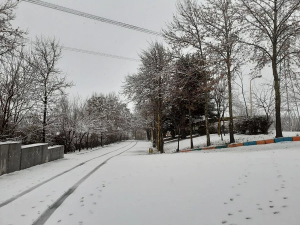 چشم انداز زمستانی پردیس شهید چمران 8