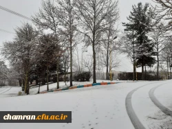 چشم انداز زمستانی پردیس شهید چمران 9