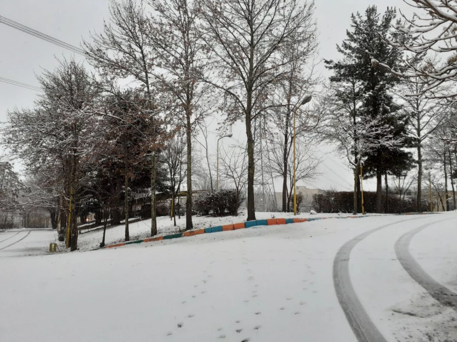 چشم انداز زمستانی پردیس شهید چمران 9