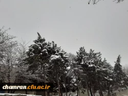 چشم انداز زمستانی پردیس شهید چمران 10