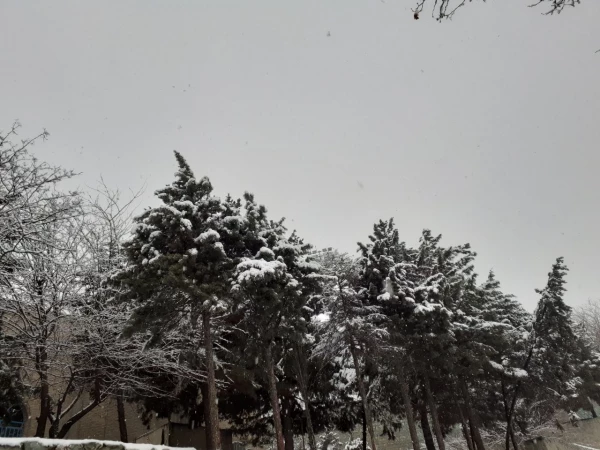 چشم انداز زمستانی پردیس شهید چمران 10