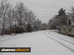 چشم انداز زمستانی پردیس شهید چمران 11