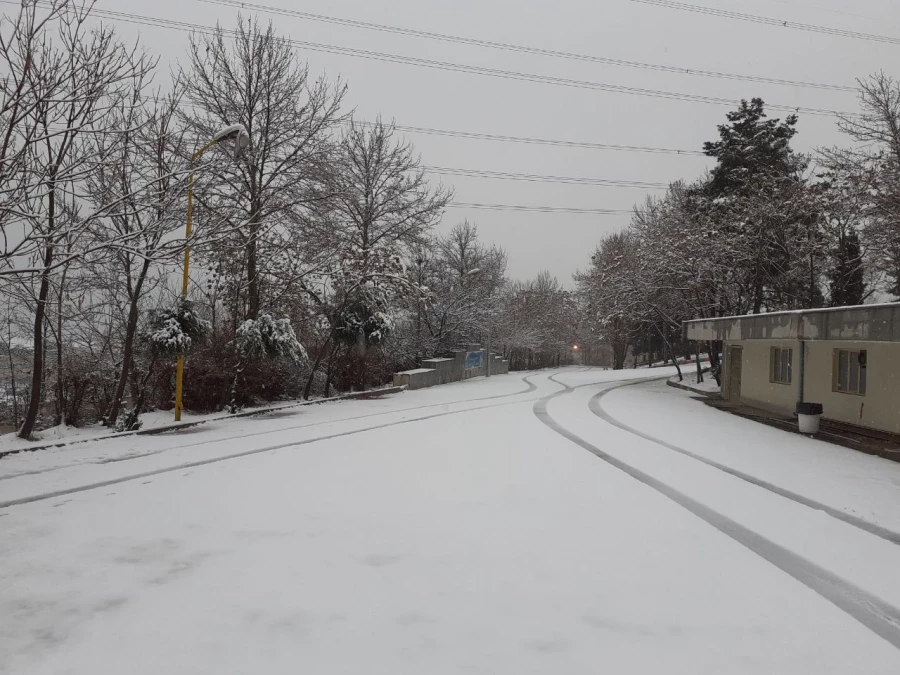 چشم انداز زمستانی پردیس شهید چمران 11