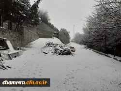 چشم انداز زمستانی پردیس شهید چمران 12