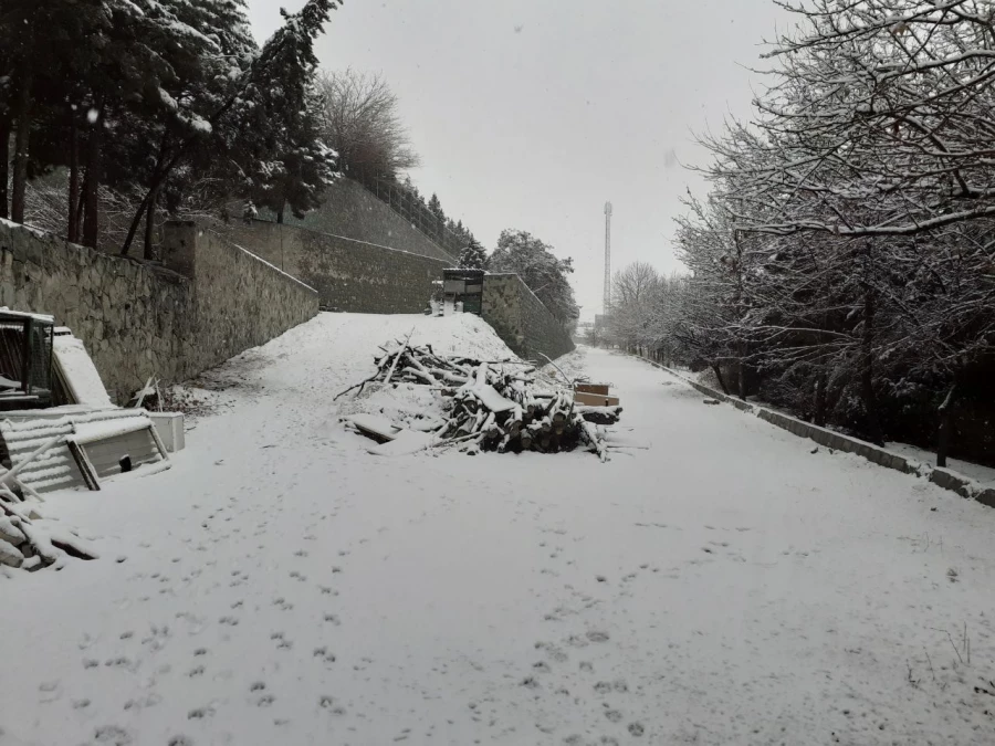 چشم انداز زمستانی پردیس شهید چمران 12