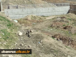 جمع آوری نخاله ها و مسطح کردن زمین ورزشی پردیس شهید چمران 3