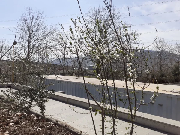 حال و هوای پردیس شهید چمران در آستانه بهار 4