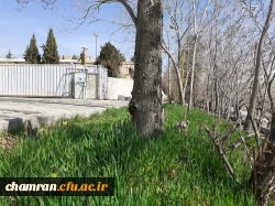 حال و هوای پردیس شهید چمران در آستانه بهار 5