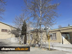 حال و هوای پردیس شهید چمران در آستانه بهار 6