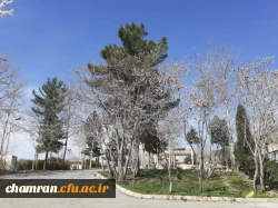 حال و هوای پردیس شهید چمران در آستانه بهار 8