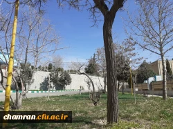 حال و هوای پردیس شهید چمران در آستانه بهار 15