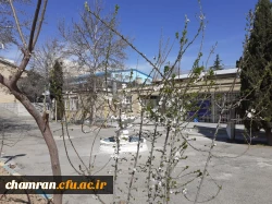 حال و هوای پردیس شهید چمران در آستانه بهار 16
