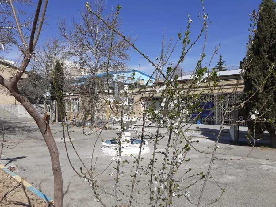 حال و هوای پردیس شهید چمران در آستانه بهار 16