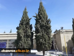 حال و هوای پردیس شهید چمران در آستانه بهار 17