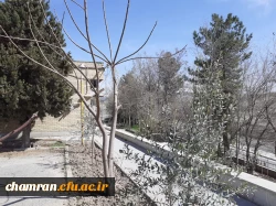 حال و هوای پردیس شهید چمران در آستانه بهار 18