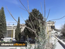 حال و هوای پردیس شهید چمران در آستانه بهار 19