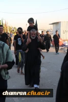 راهیان حسینی در مسیر اربعین حسینی
 2