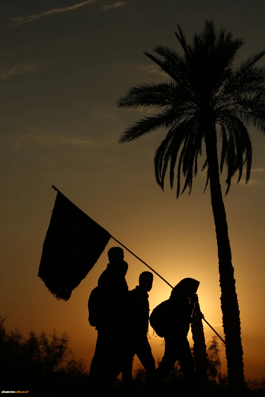 راهیان حسینی در مسیر اربعین حسینی
 2