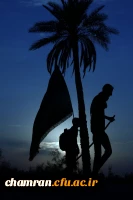 راهیان حسینی در مسیر اربعین حسینی
 2