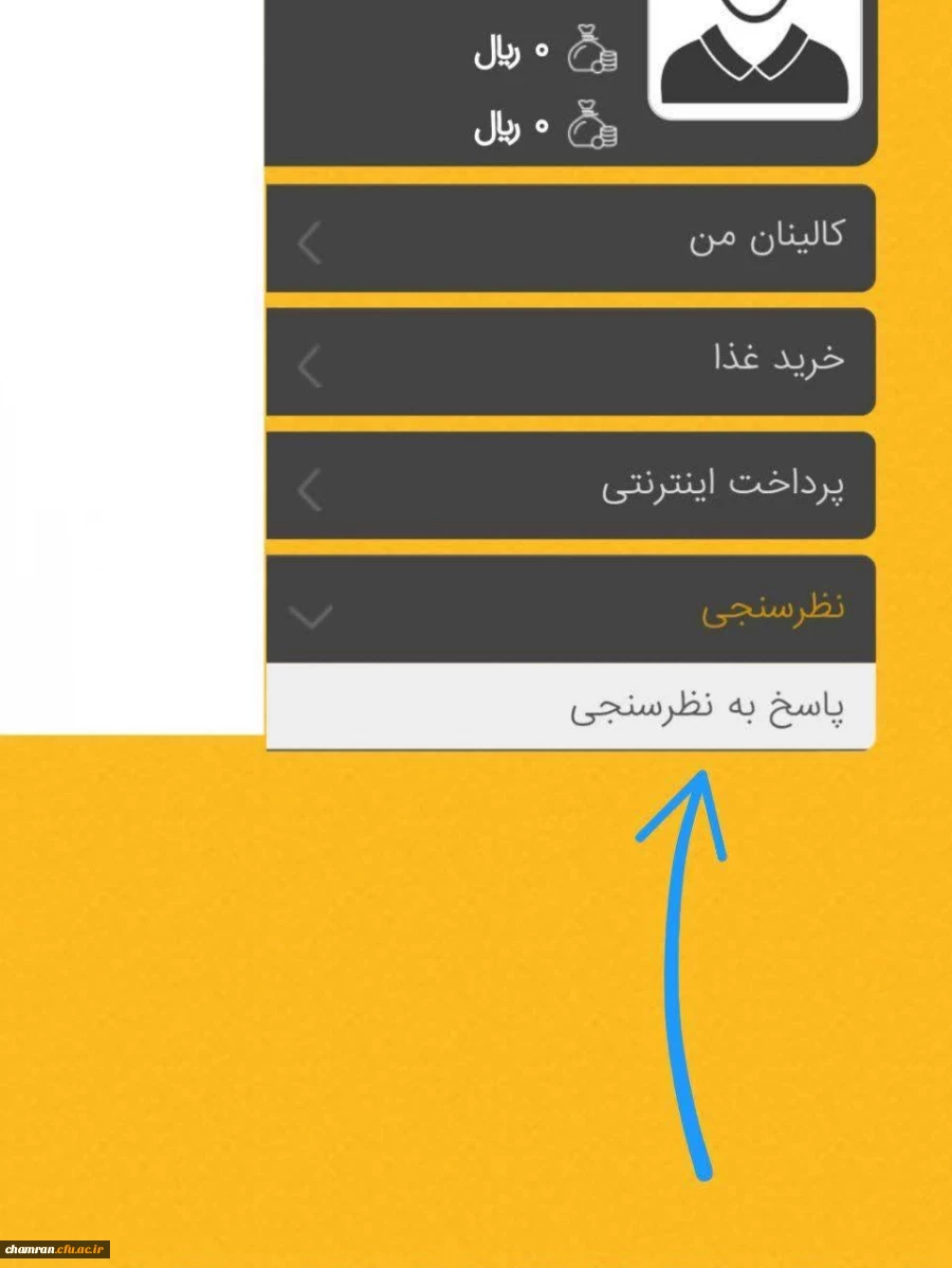 نظرسنجی سامانه تغذیه (کالینان) 2