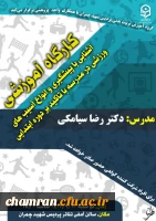 کارگاه آموزشی آشنایی با پیشگیری و انواع آسیبهای ورزشی با تاکید بر دوره ابتدایی 2