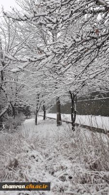 چشم انداز برفی پردیس شهید چمران