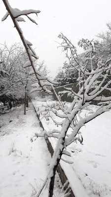 چشم انداز برفی پردیس شهید چمران 3