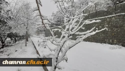 چشم انداز برفی پردیس شهید چمران 4
