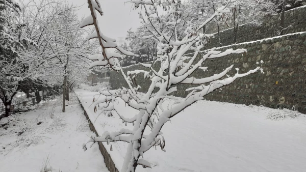 چشم انداز برفی پردیس شهید چمران 4