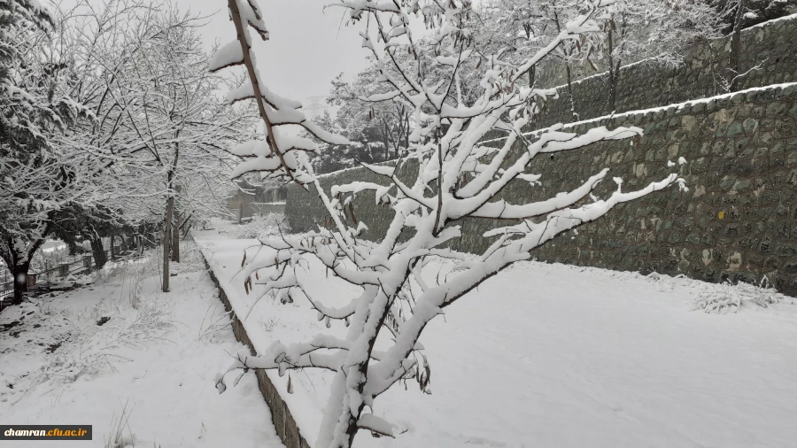 چشم انداز برفی پردیس شهید چمران 4
