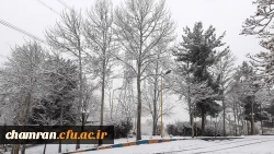 چشم انداز برفی پردیس شهید چمران 5