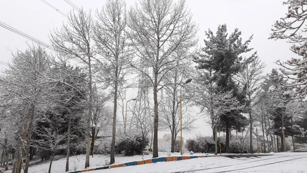 چشم انداز برفی پردیس شهید چمران 5