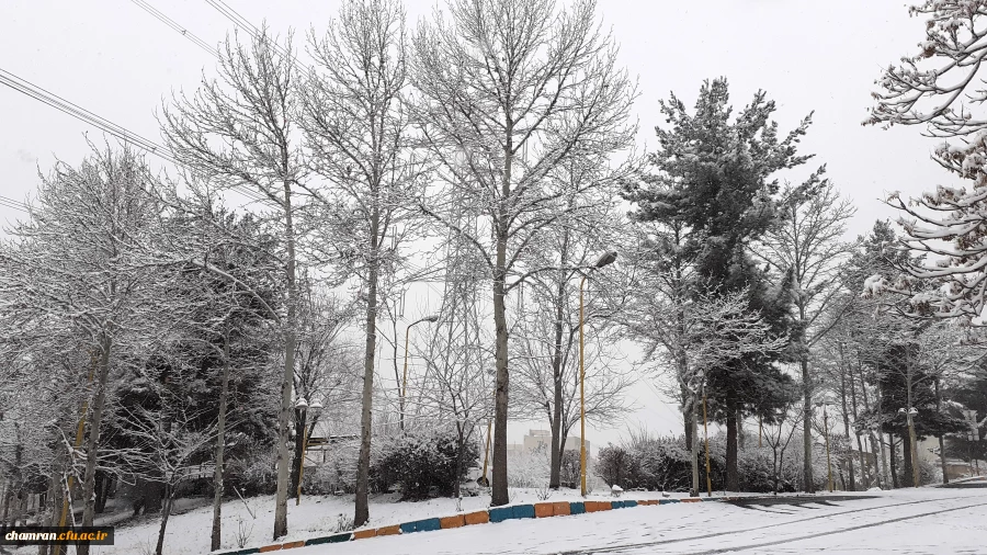 چشم انداز برفی پردیس شهید چمران 5
